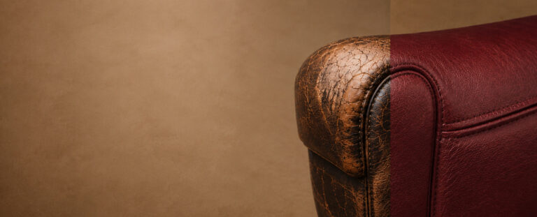 Leather Recoloring